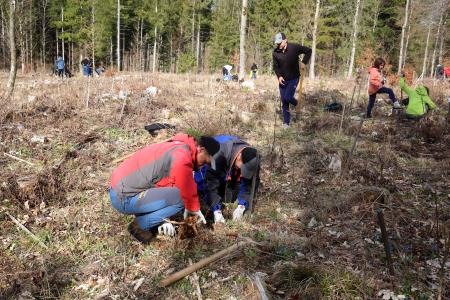 POGOZDOVANJE V RAKOVEM ŠKOCJANU 24 FOTO LJUBO VUKELIČ